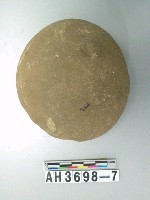 藏品(圓盤形石錘)的圖片